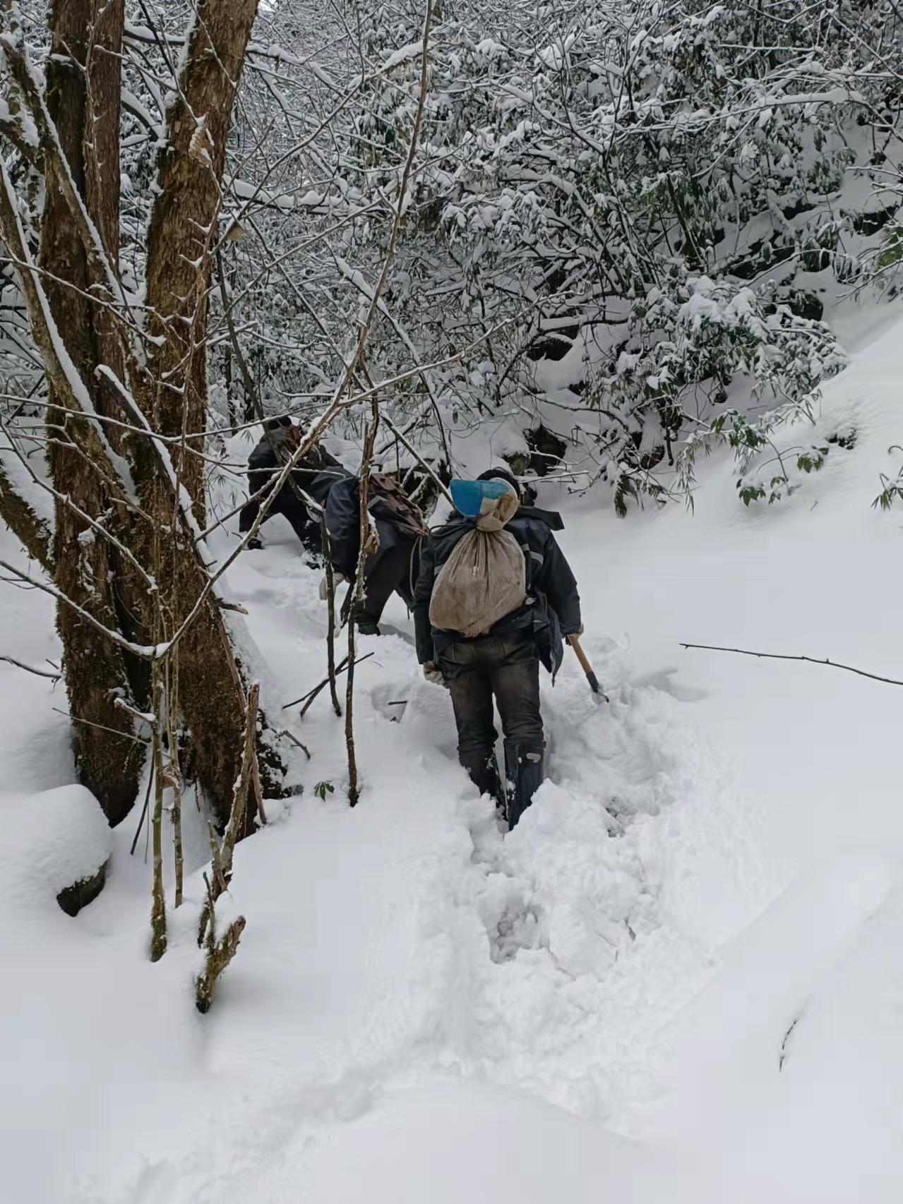 野外随笔|唱响二郎山里的冰与火之歌